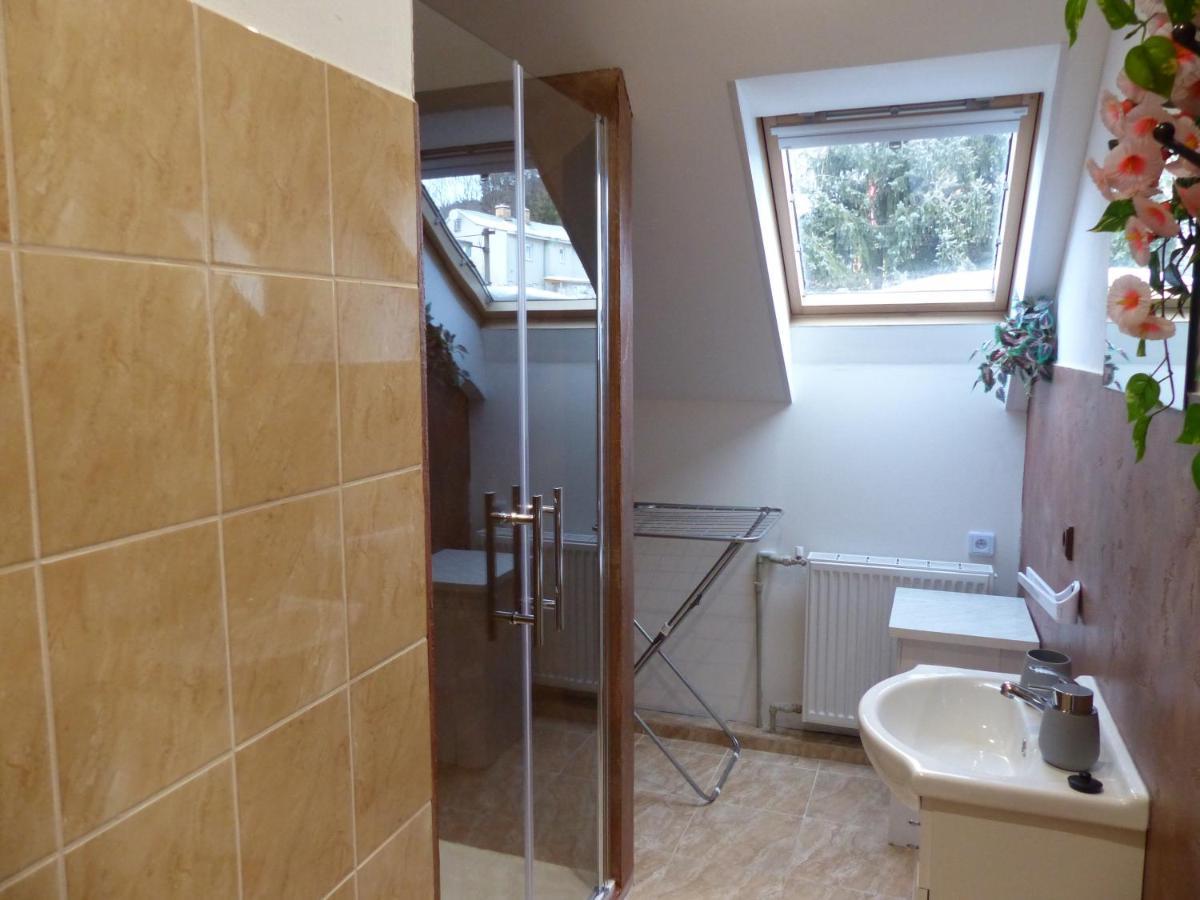 Apartmany Plischke Lipova Lazne Luaran gambar