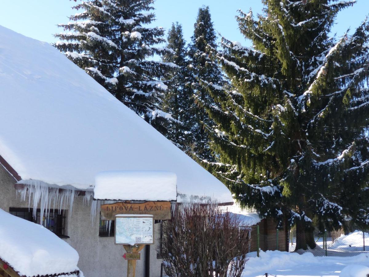 Apartmany Plischke Lipova Lazne Luaran gambar
